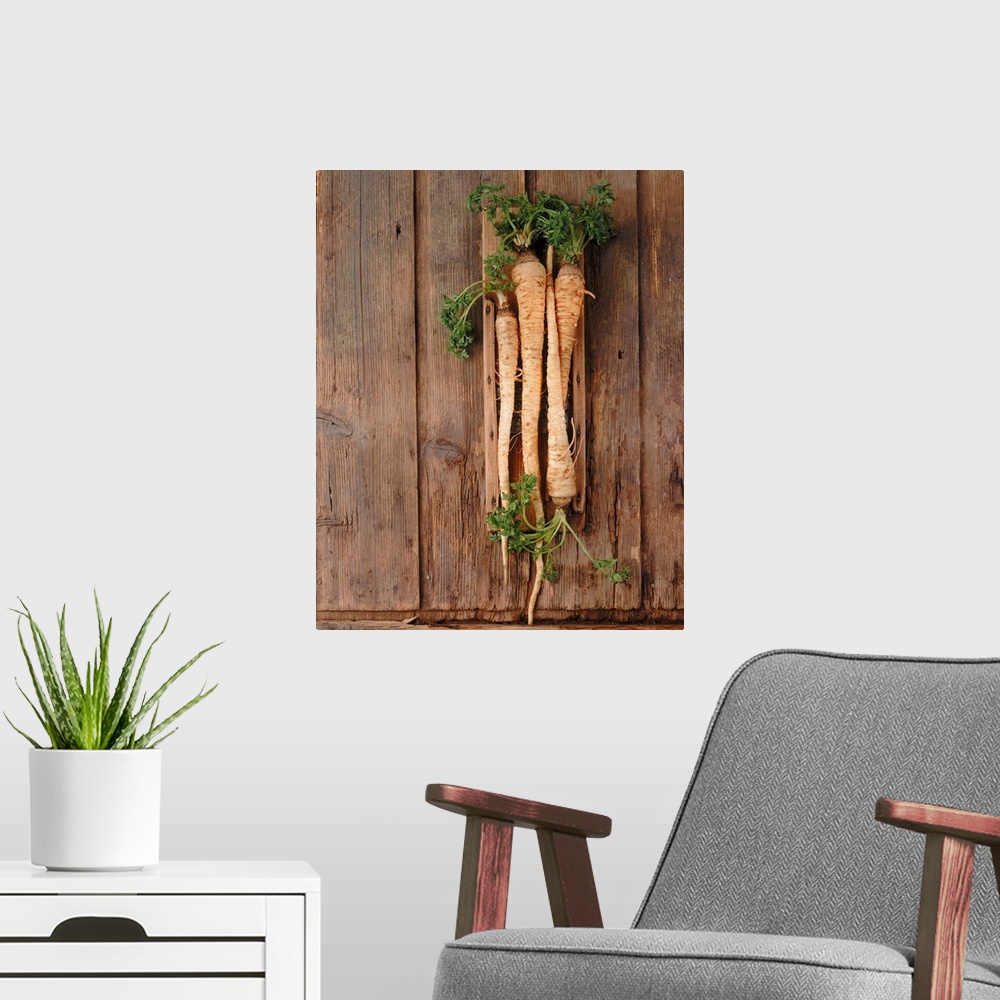 A modern room featuring Parsnip on wood, directly above