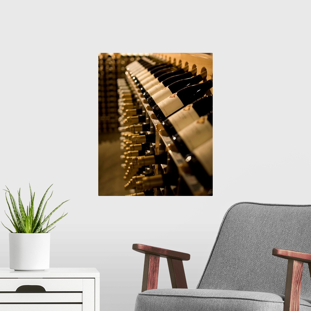 A modern room featuring Racks of wine bottles