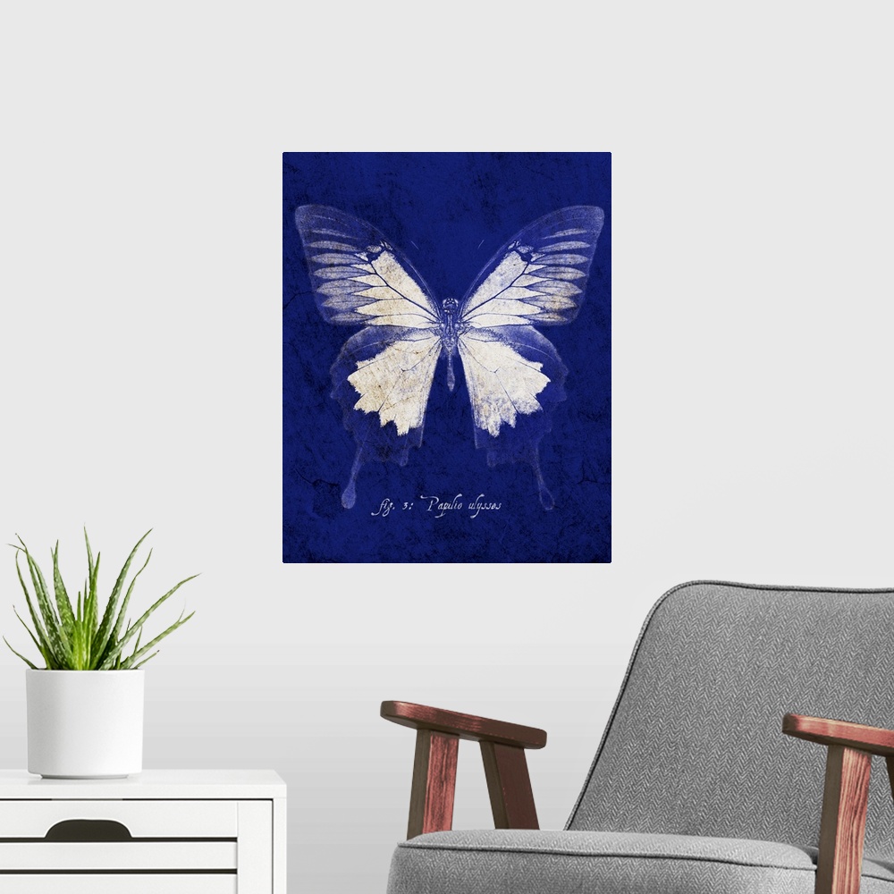 A modern room featuring Blue Mountain Butterfly Cyanotype