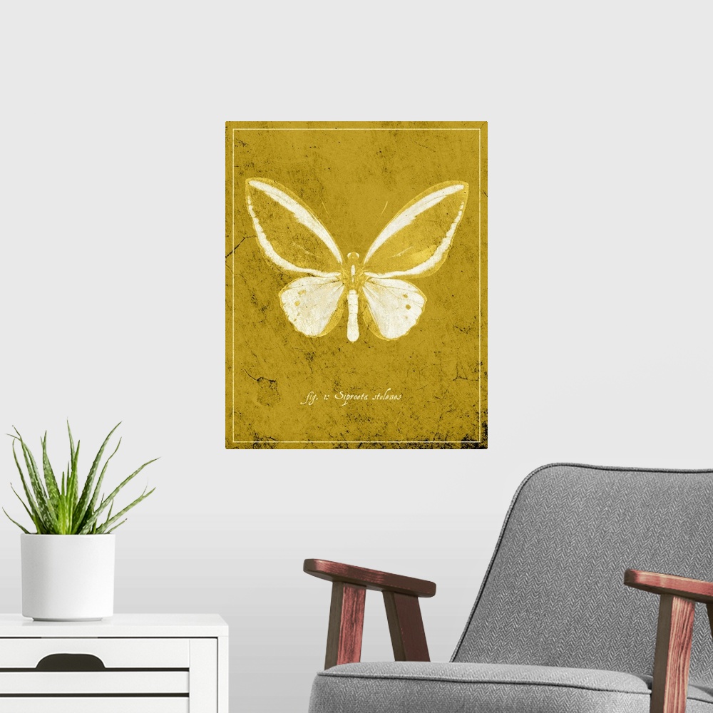 A modern room featuring Butterfly XI