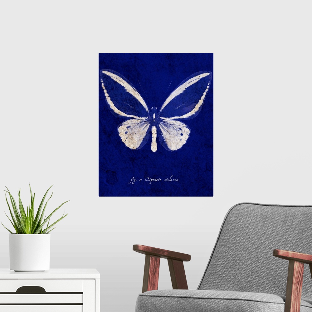 A modern room featuring Malachite Butterfly Cyanotype