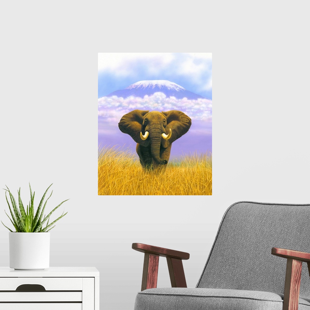 A modern room featuring Elephant At Table Mountain