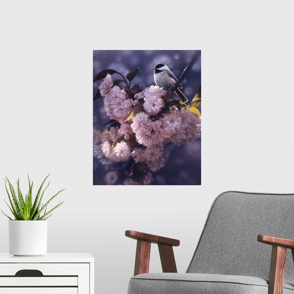 A modern room featuring Black Capped Chickadee