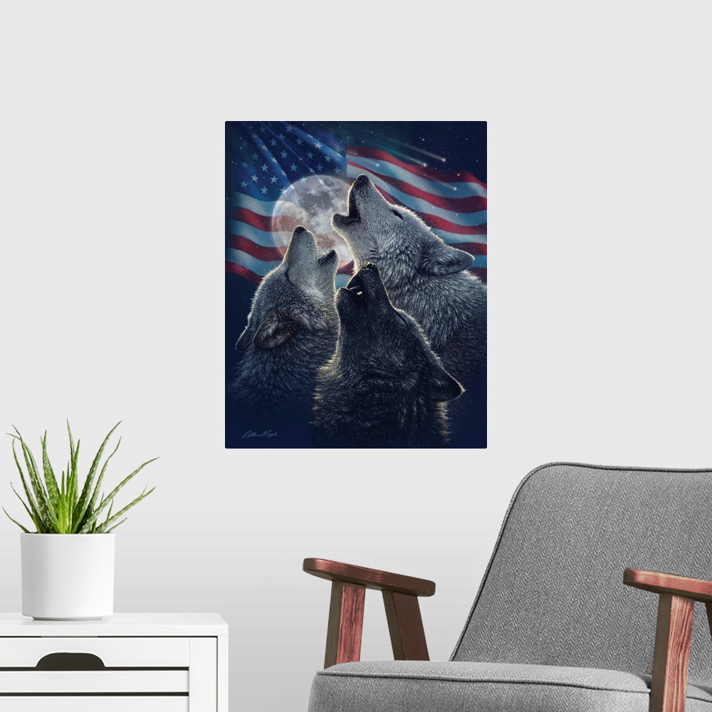 A modern room featuring Wolf Trinity Patriotic