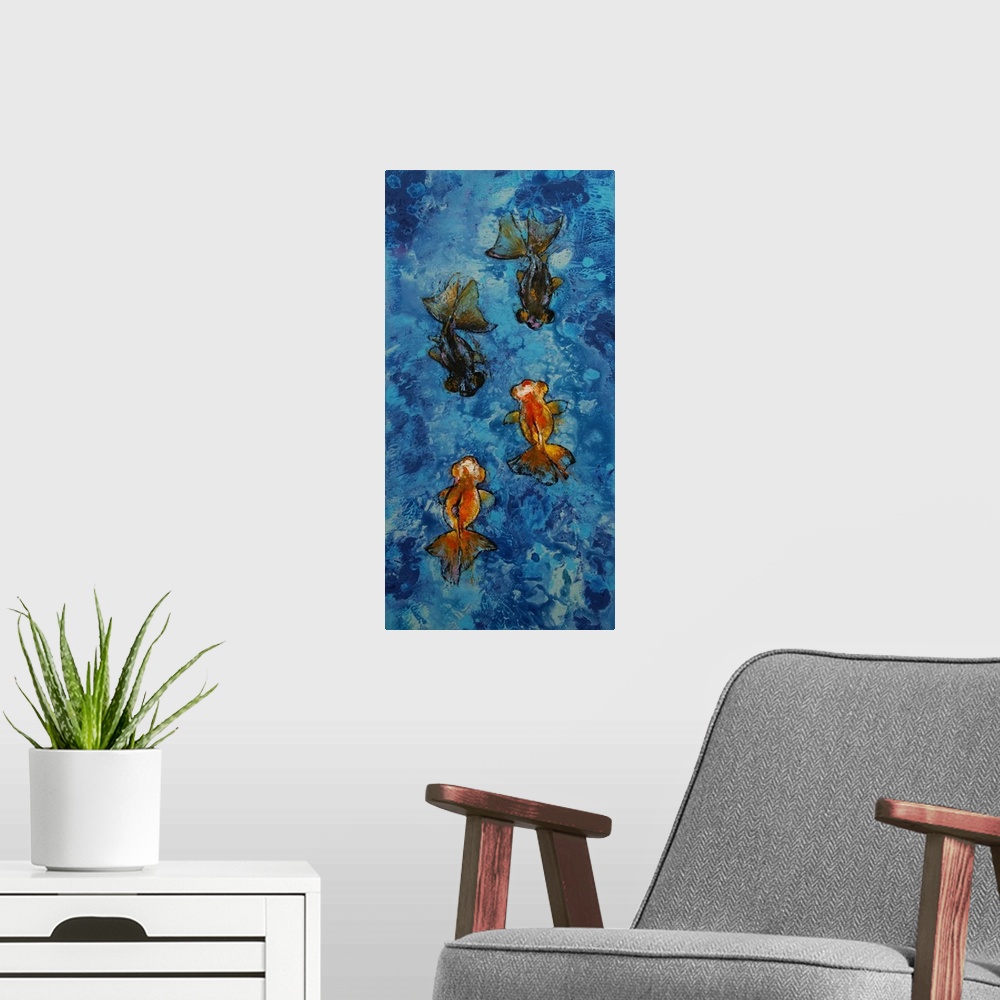 A modern room featuring Butterfly Tail Goldfish