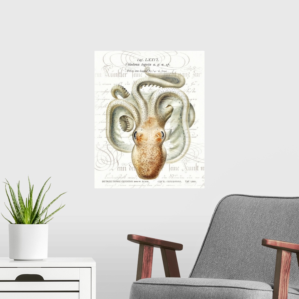 A modern room featuring A vintage paint brush rendition of Velodona octopus illustration from Deutschen Tiefsee-Expeditio...