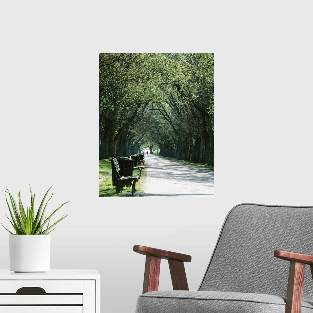 A modern room featuring Vertical photograph on a big canvas of a paved walkway lined with benches and trash cans, large t...