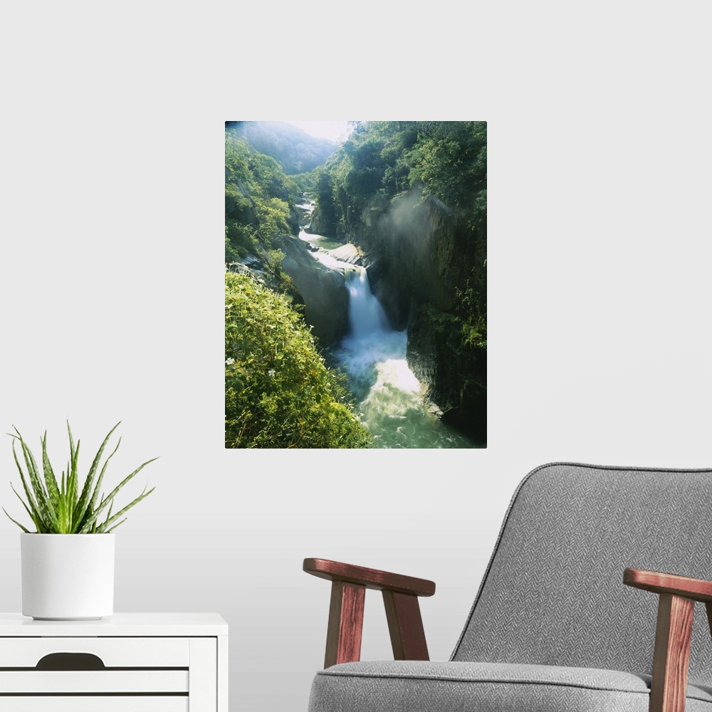 A modern room featuring Big aerial photograph of a waterfall surrounded by rocky cliffs and lush, green forest, in Mexico.