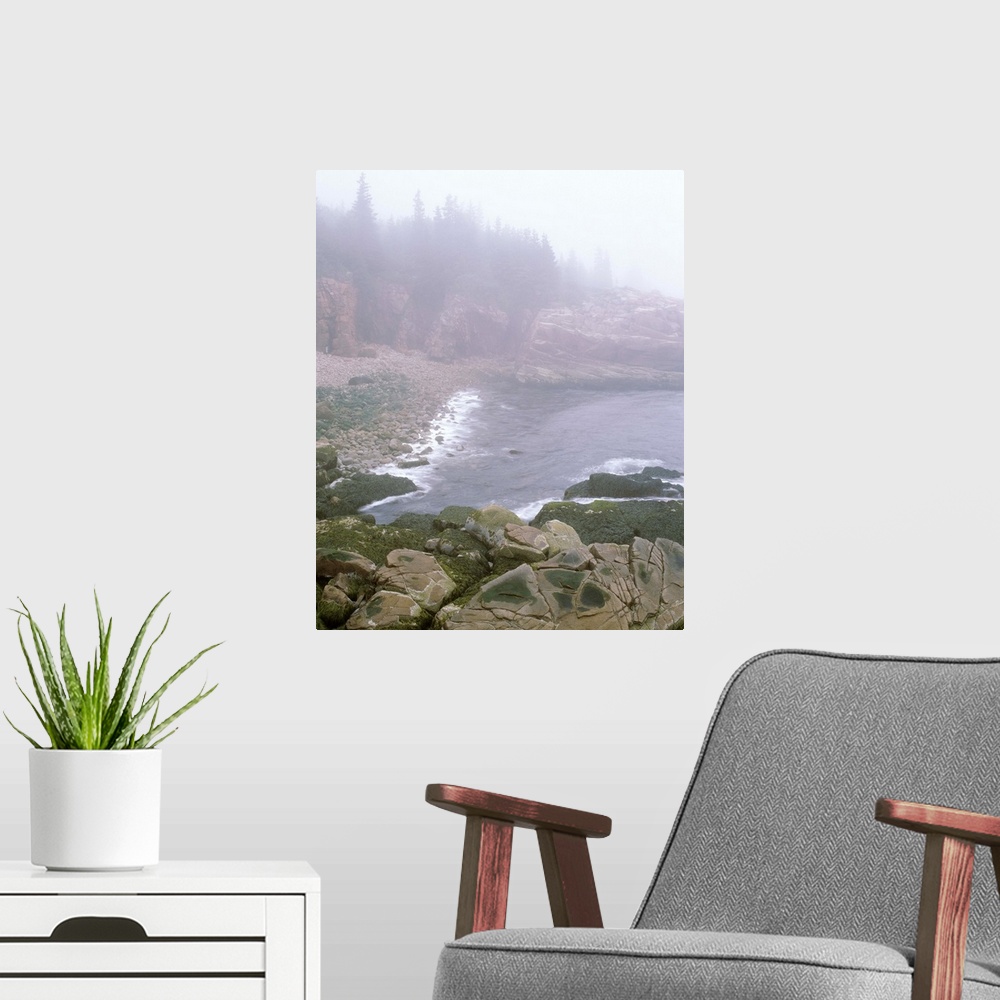 A modern room featuring Maine, Acadia National Park, Atlantic Coast, Beach covered with fog