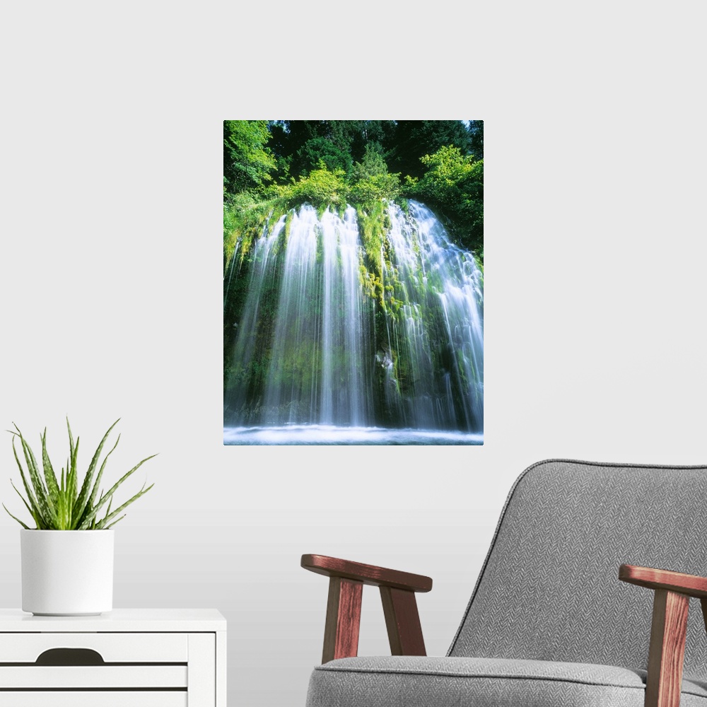 A modern room featuring A waterfall cascades of a rock face overgrown with plant life in this vertical, landscape photogr...