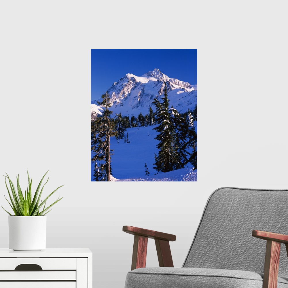 A modern room featuring Mountain covered with snow, Mt Shuksan, North Cascades National Park, Whatcom County, Washington ...