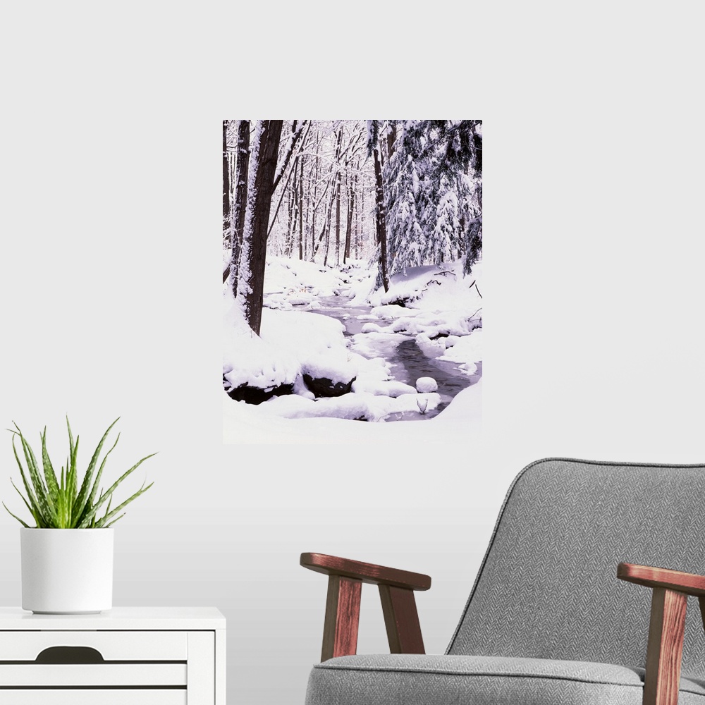 A modern room featuring New York State, Erie County, Emery Park, Stream flowing through snow covered forest