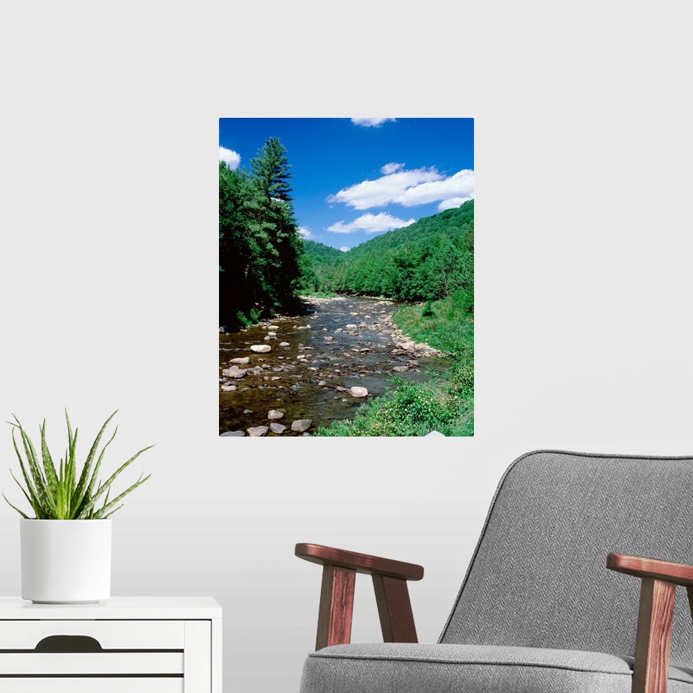 A modern room featuring Pennsylvania, World's End State Park, Rocks in Loyalsock Creek
