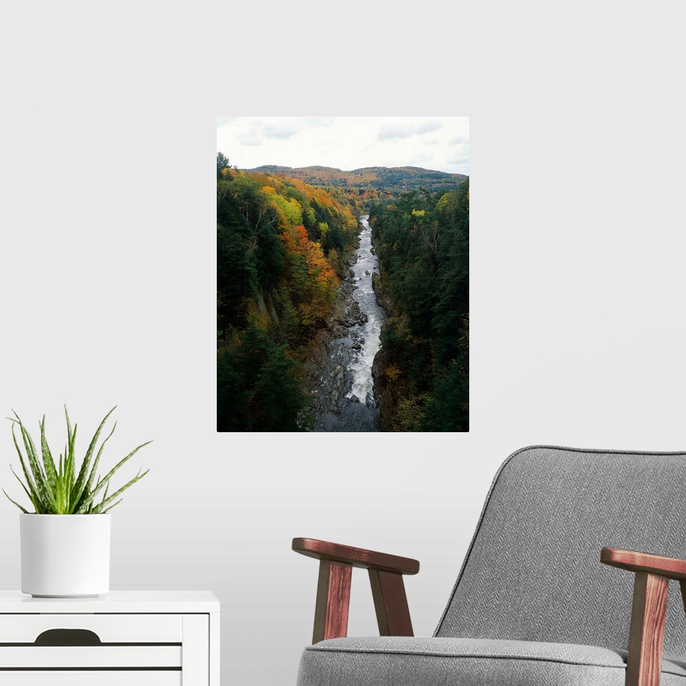 A modern room featuring Stream flowing in a forest, Quechee Gorge, Windsor County, Vermont,