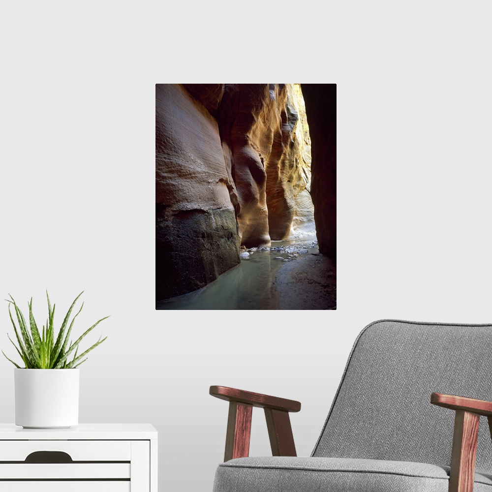 A modern room featuring Stream flowing through a slot canyon, Orderville Canyon, Zion National Park, Utah,