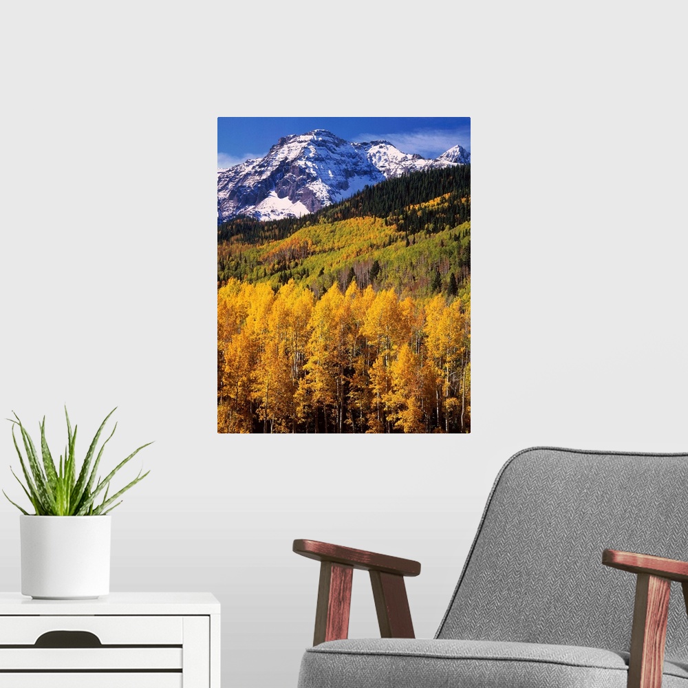 A modern room featuring Uncompahgre National Forest, CO, USA