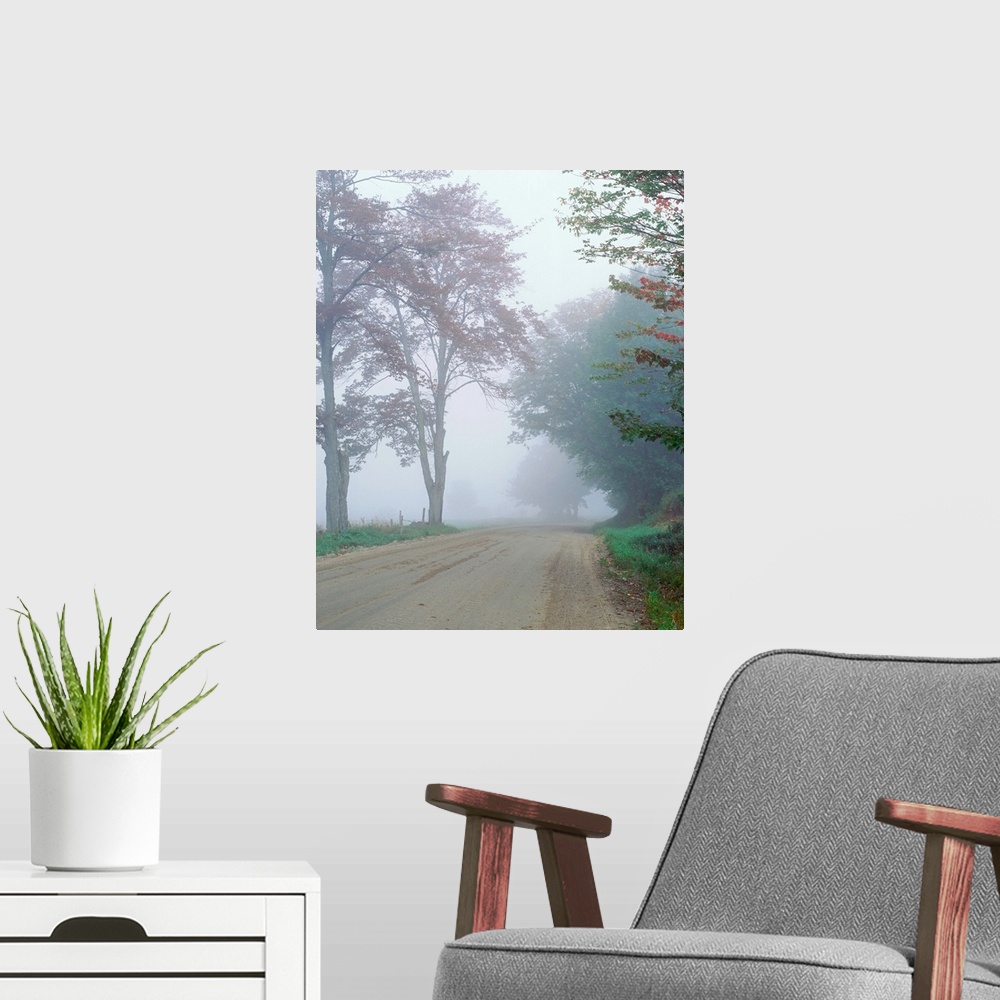 A modern room featuring Vermont, Morristown, Tree along the road