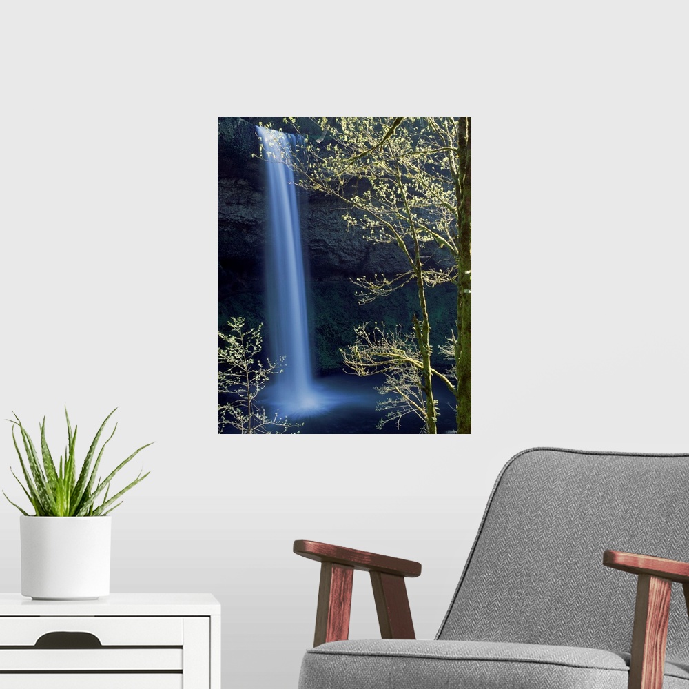 A modern room featuring Silver creek , South Falls, Silver Falls State Park, Oregon