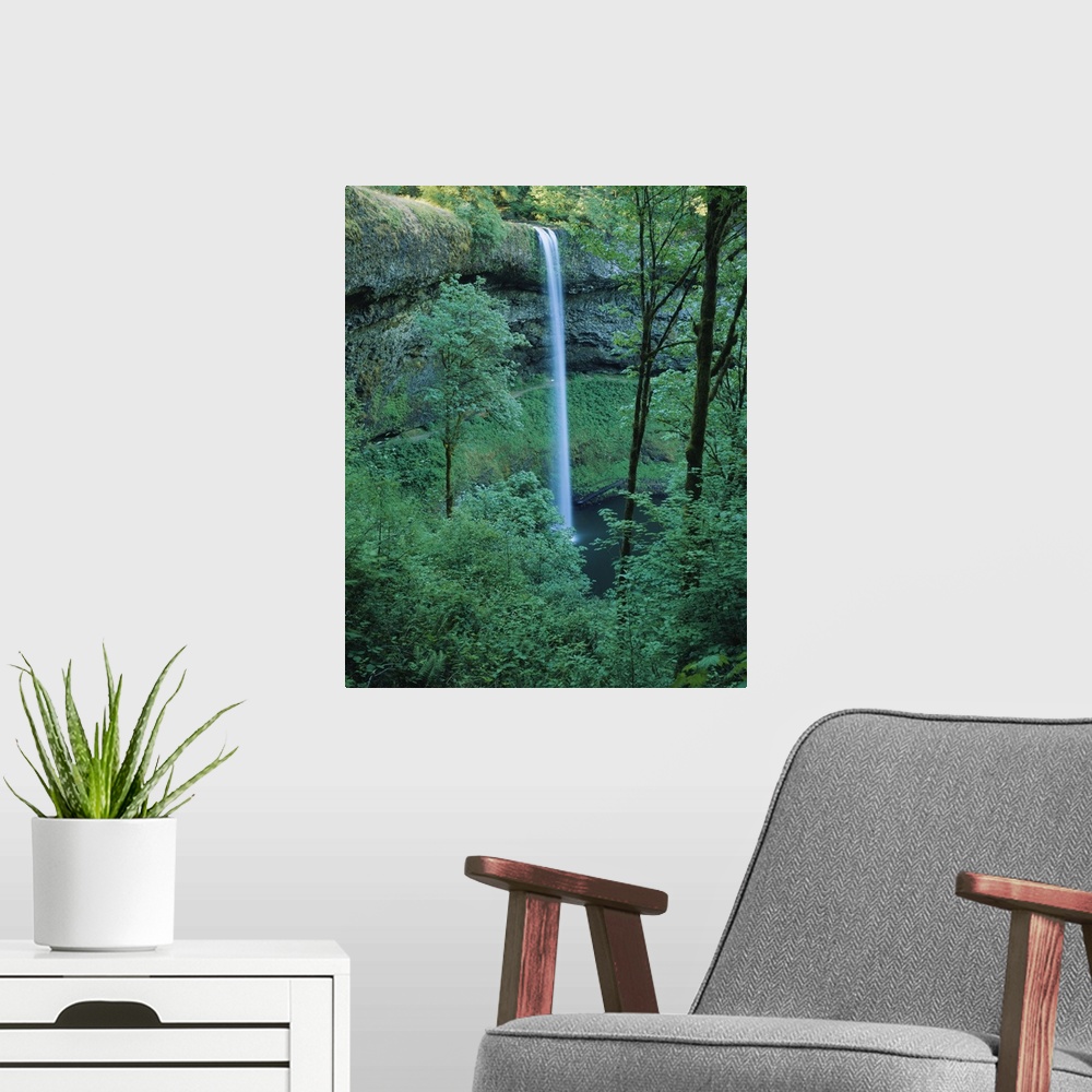 A modern room featuring Waterfall in a forest, Silver Falls State Park, Marion County, Oregon