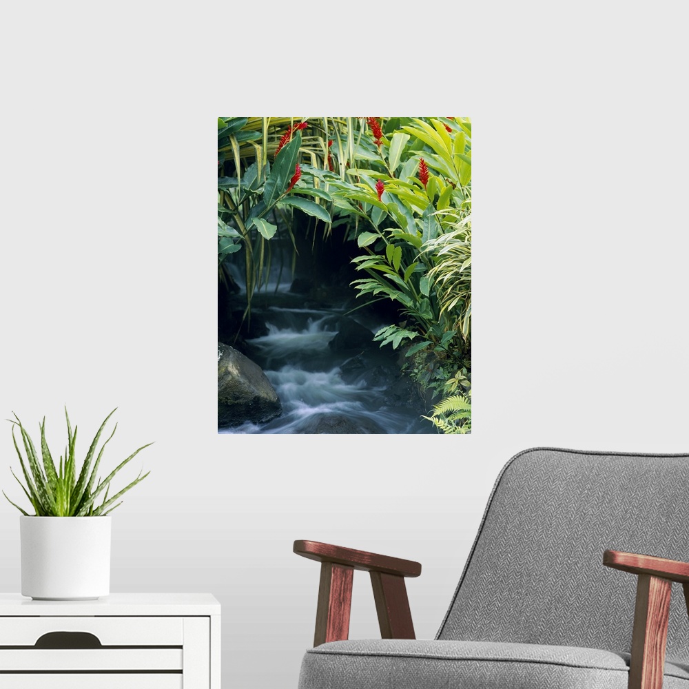 A modern room featuring View of a waterfall peeking through foliage that forms a natural arch over the rushing water below.