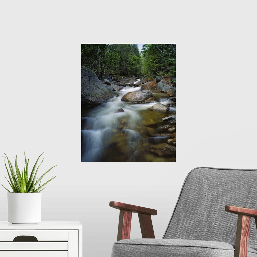 A modern room featuring Tall photo on canvas of water rushing through rocks in a stream running through a forest.
