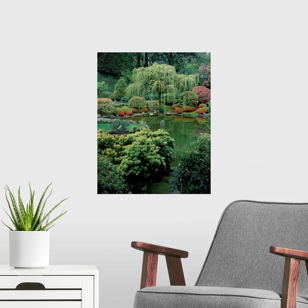 A modern room featuring Weeping WIllow and pond, Japanese Garden, Washington Park, Portland, Oregon