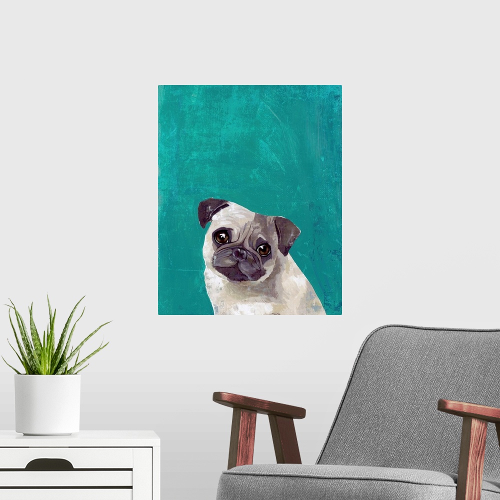 A modern room featuring Pug Puppy