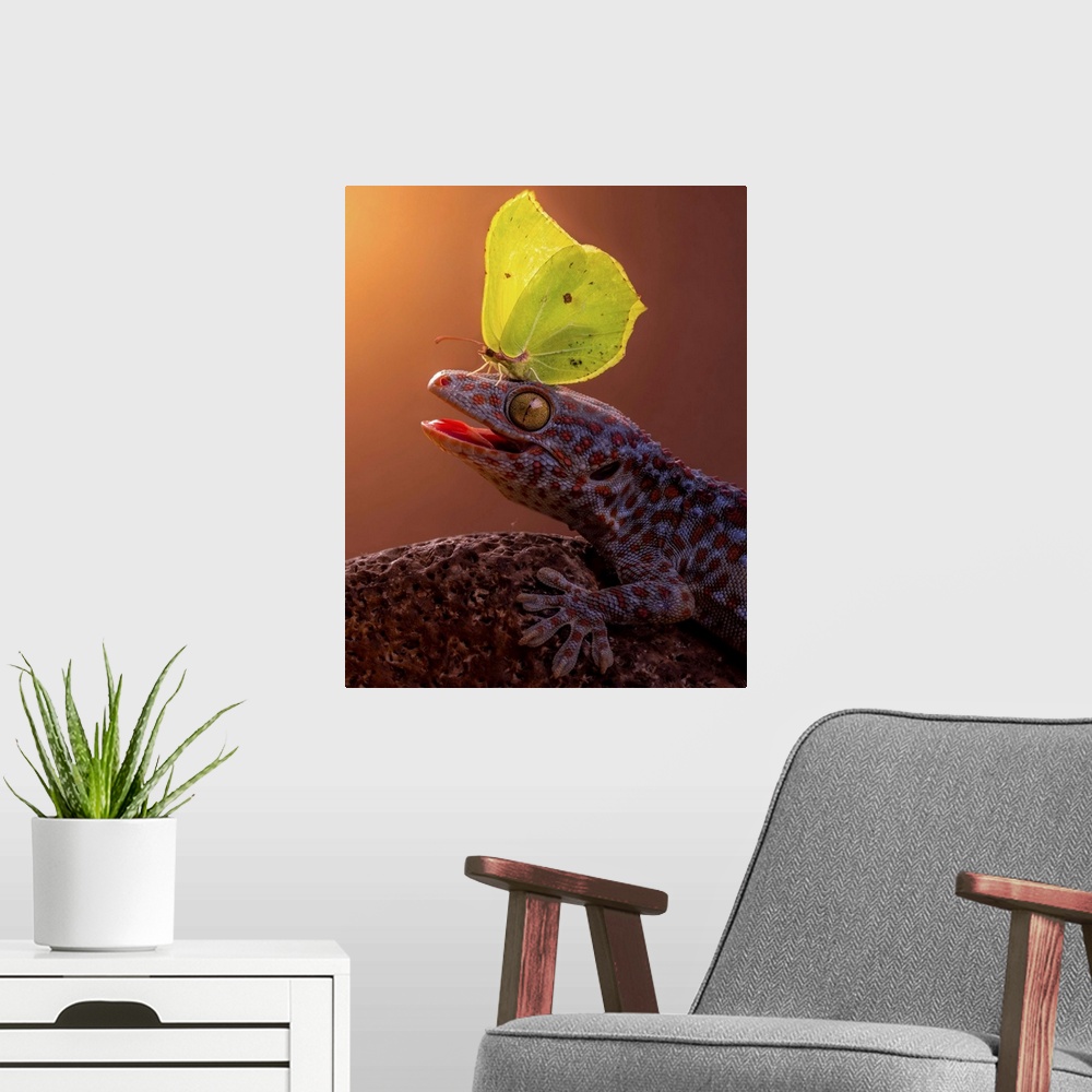 A modern room featuring A yellow butterfly perched on the head of a gecko.