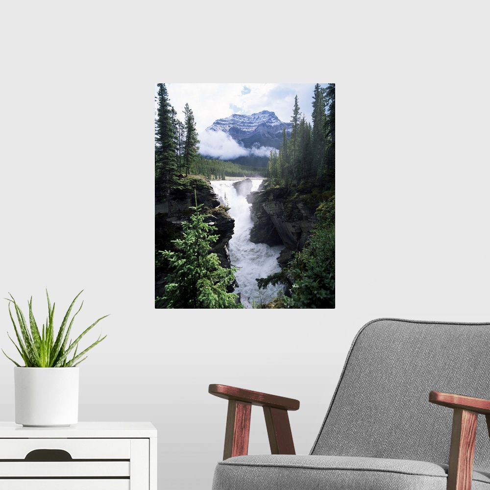 A modern room featuring Athabasca Falls and Mount Kerkeslin, Jasper National Park, Alberta, Canada