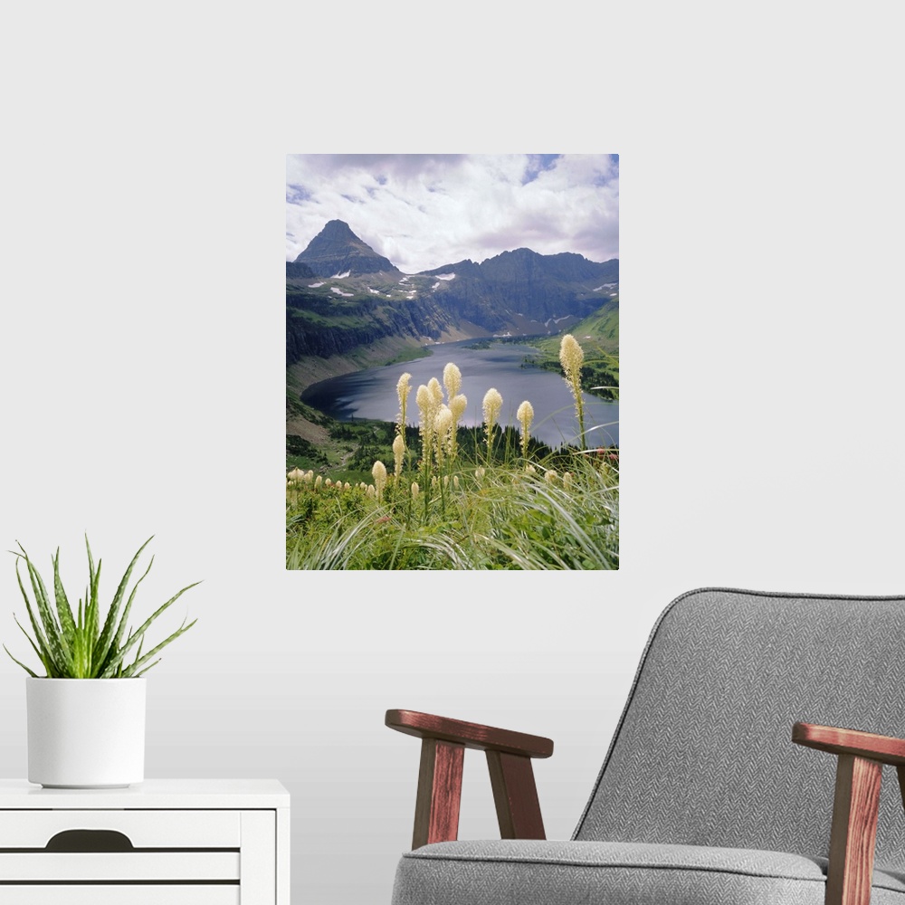 A modern room featuring Beargrass, Hidden Lake and Mount Reynolds, Glacier National Park, Montana