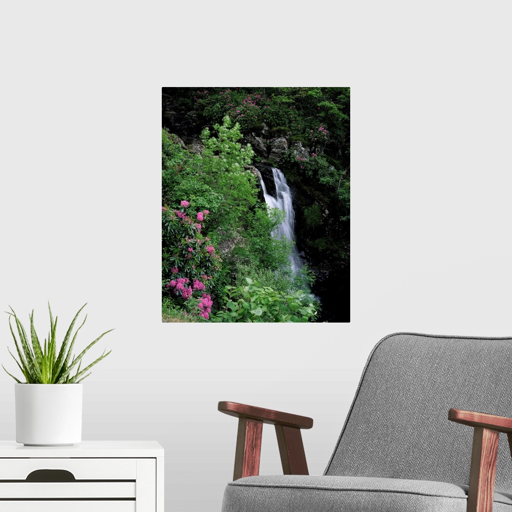 A modern room featuring Inversnaid Waterfall, Loch Lomond, Stirling, Central Region, Scotland, UK