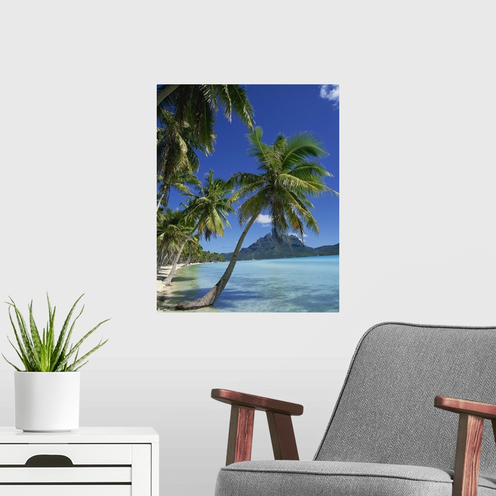 A modern room featuring Palm trees fringe the tropical beach and sea on Bora Bora (Borabora), Tahiti