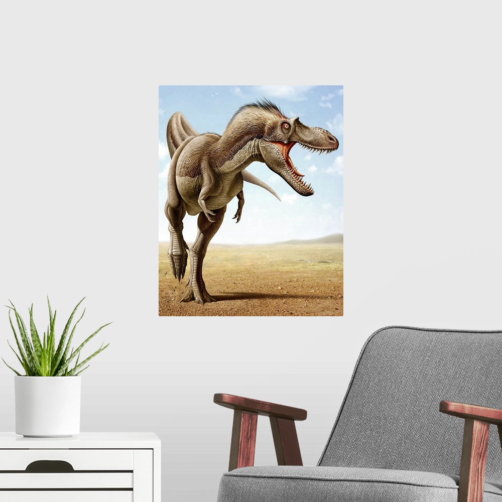 A modern room featuring Gorgosaurus running across an open desert.