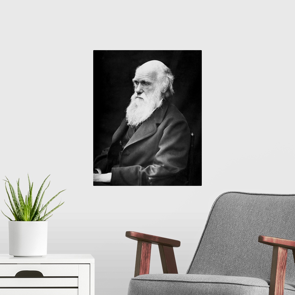 A modern room featuring Portrait of naturalist and geologist Charles Darwin.