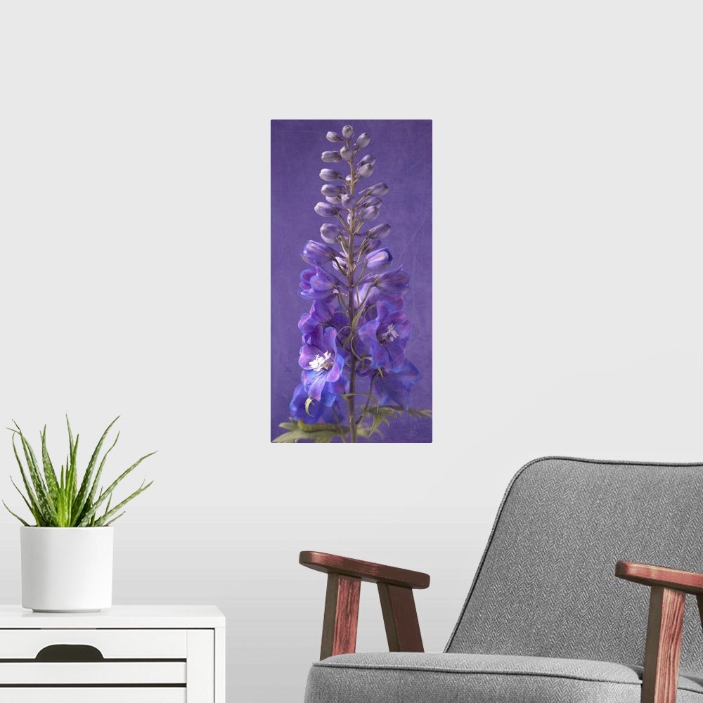 A modern room featuring Purple Foxgloves V