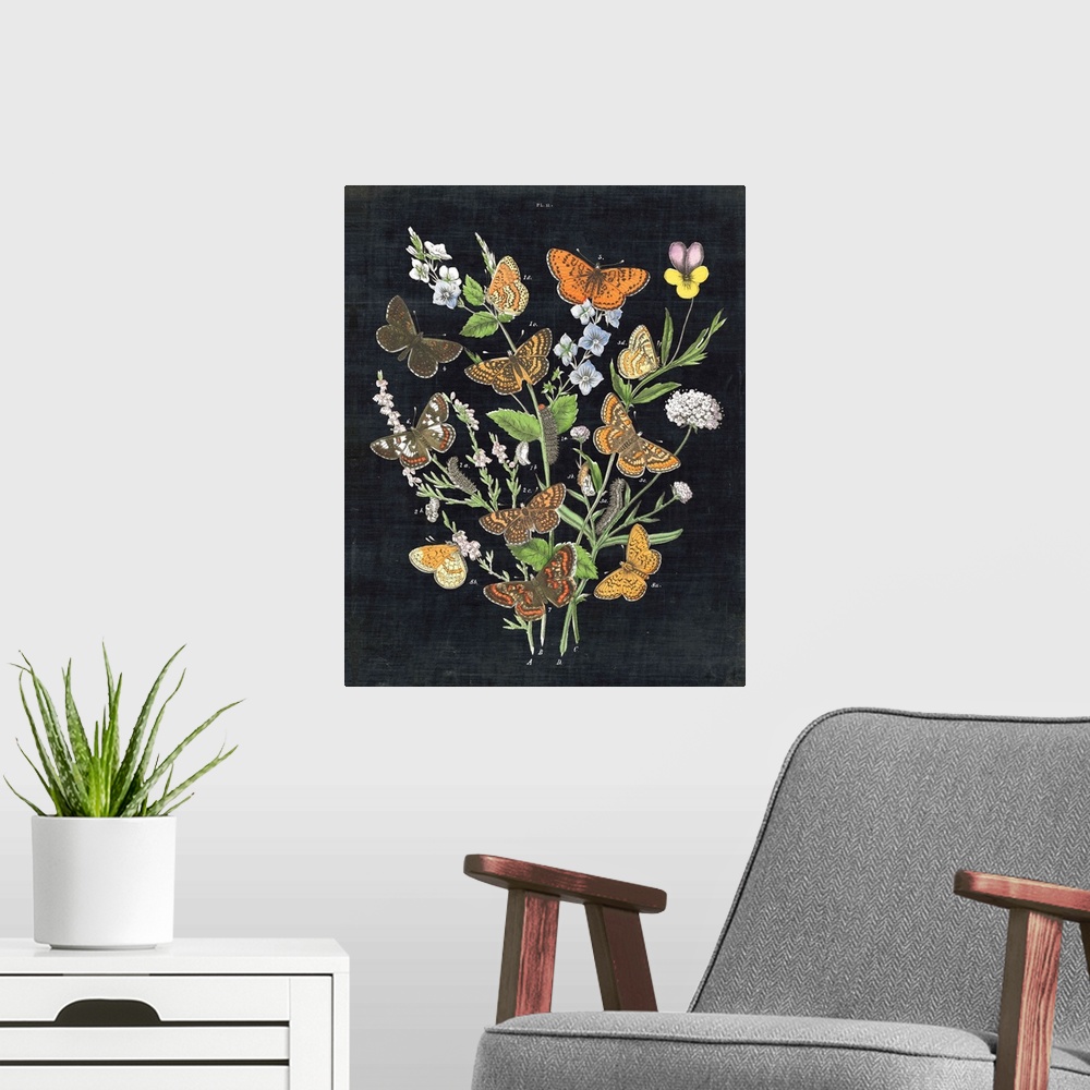 A modern room featuring Vintage stylized botanical and zoological illustrations.