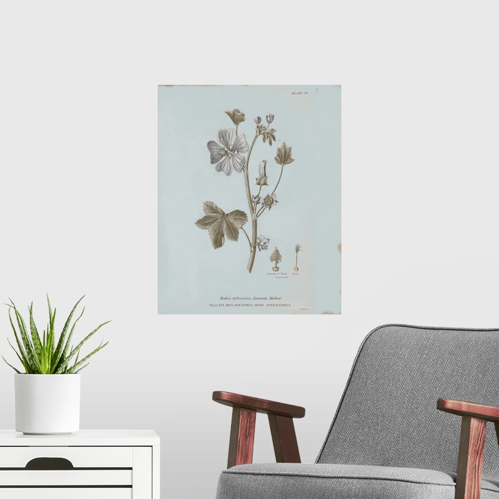 A modern room featuring Conversations on Botany VII Blue