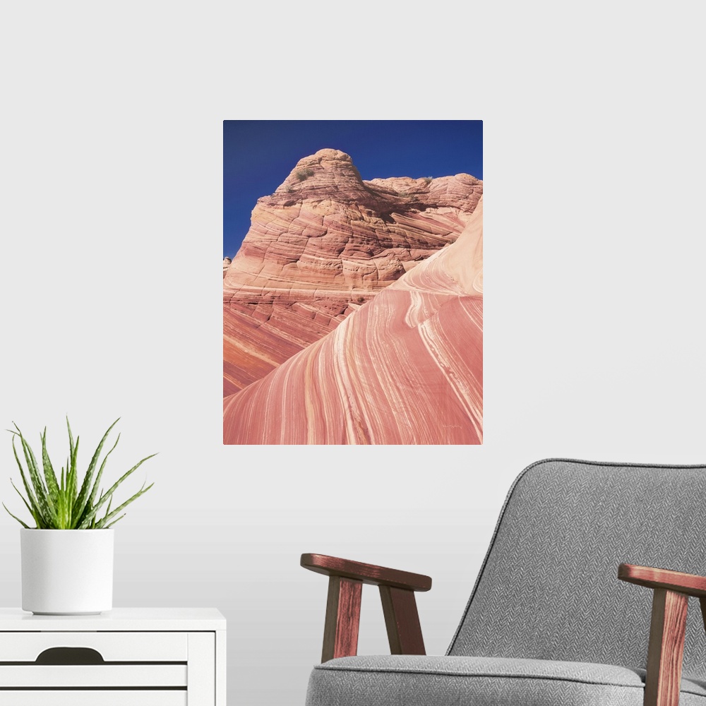 A modern room featuring Coyote Buttes I