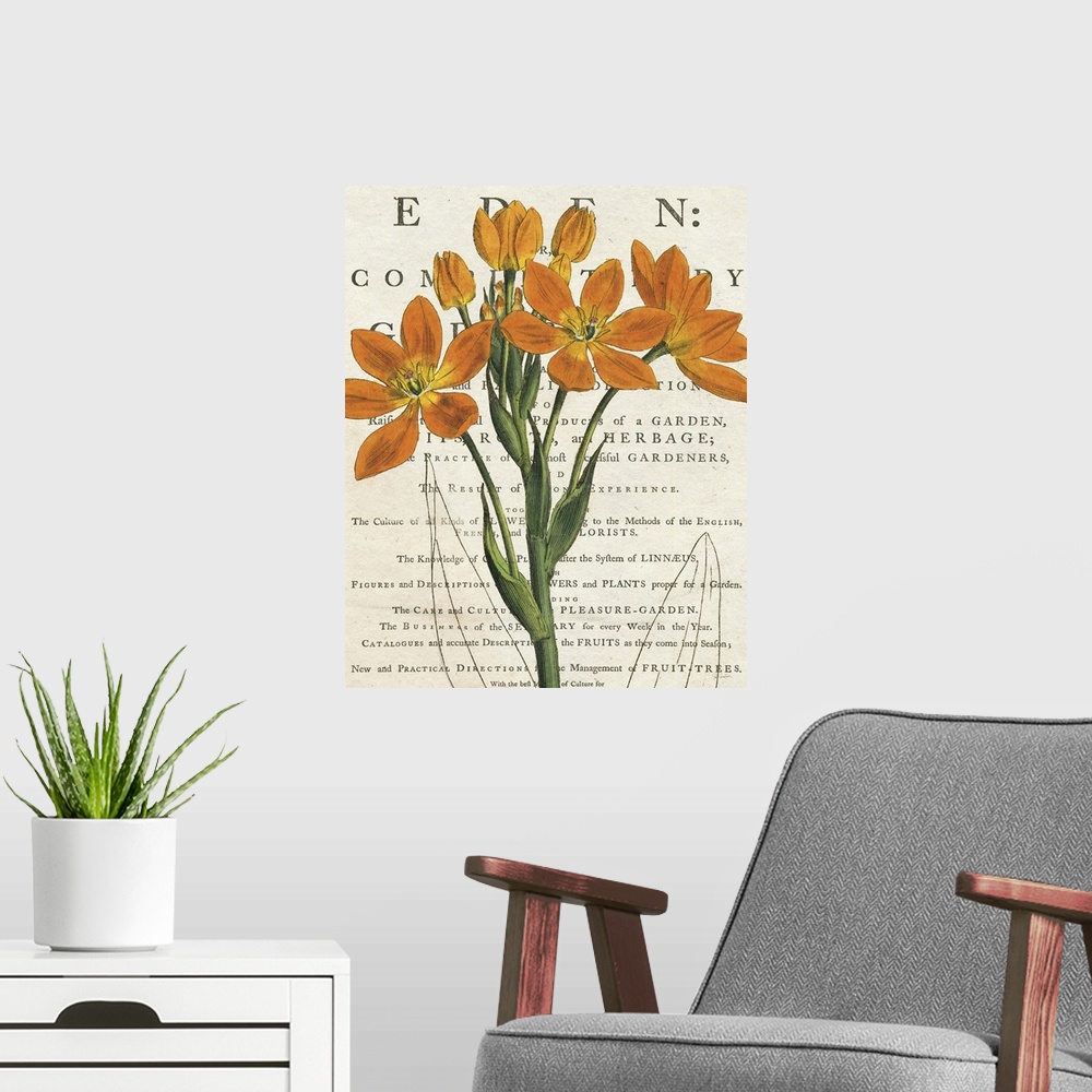 A modern room featuring Vintage stylized illustration of an orange euphorbia against a cream background with text.