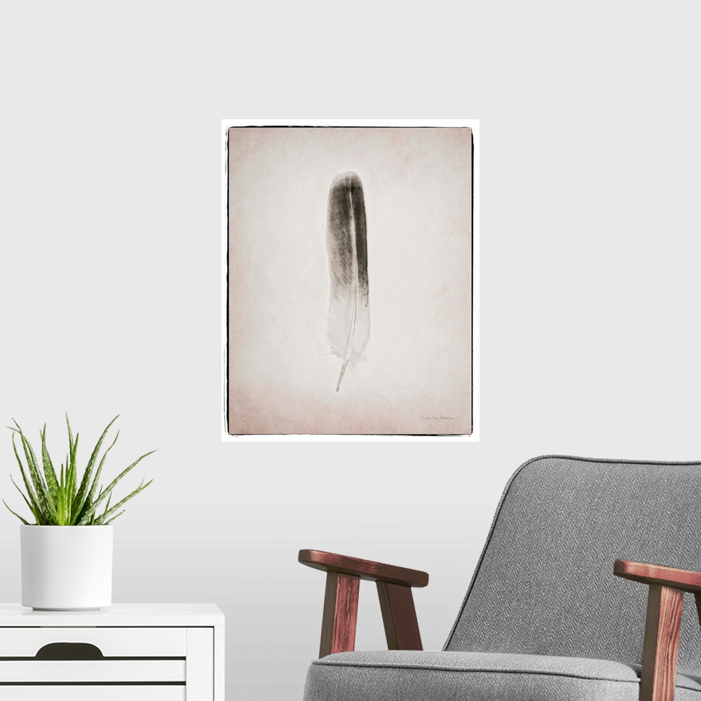 A modern room featuring A photograph of a feather against a gray background.