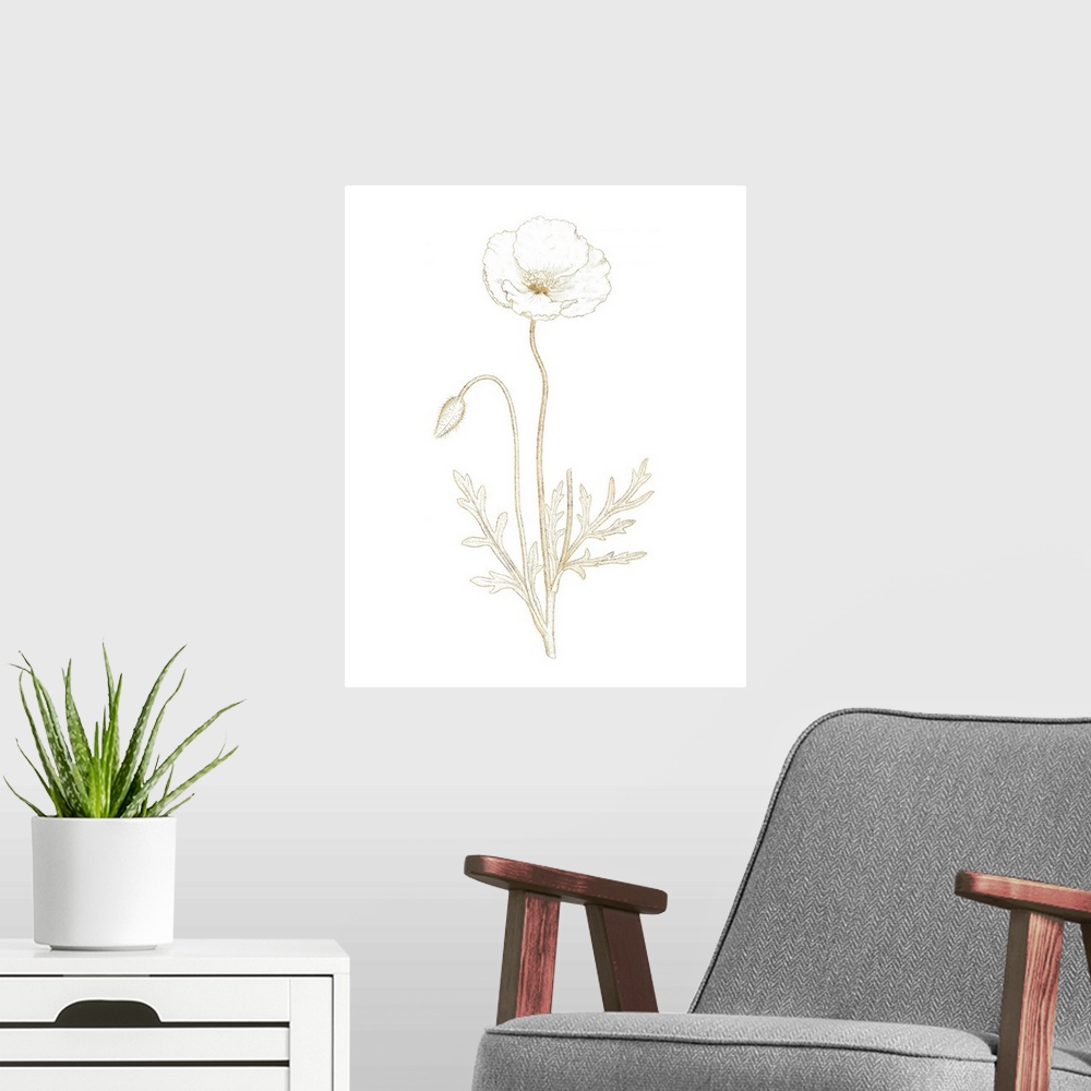 A modern room featuring Gold illustration of a poppy flower and flower bud on a solid white background.