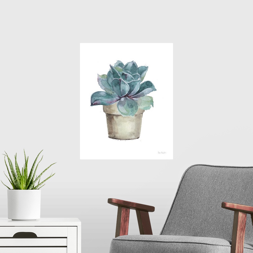 A modern room featuring Mixed Greens Succulent IV