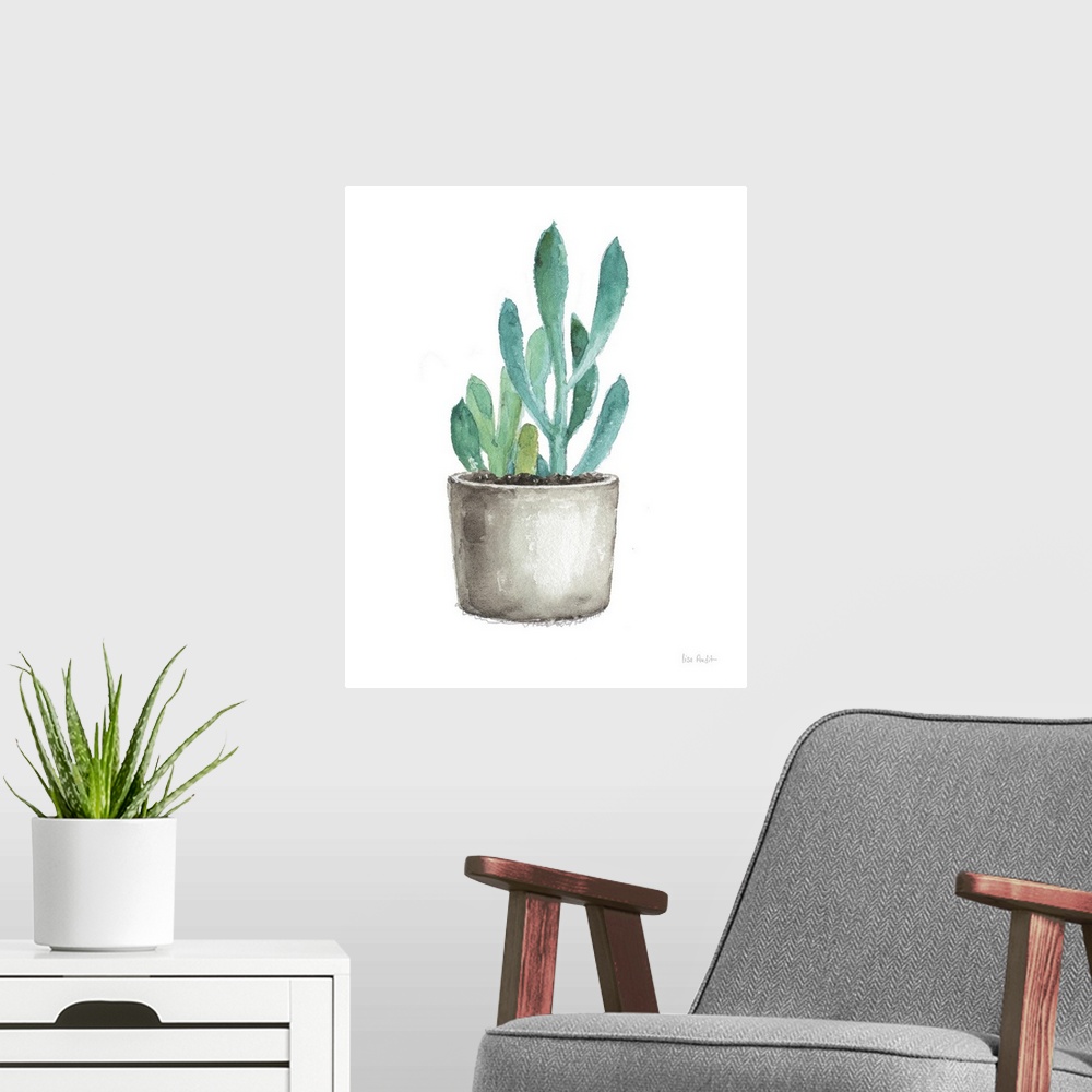 A modern room featuring Mixed Greens Succulent V