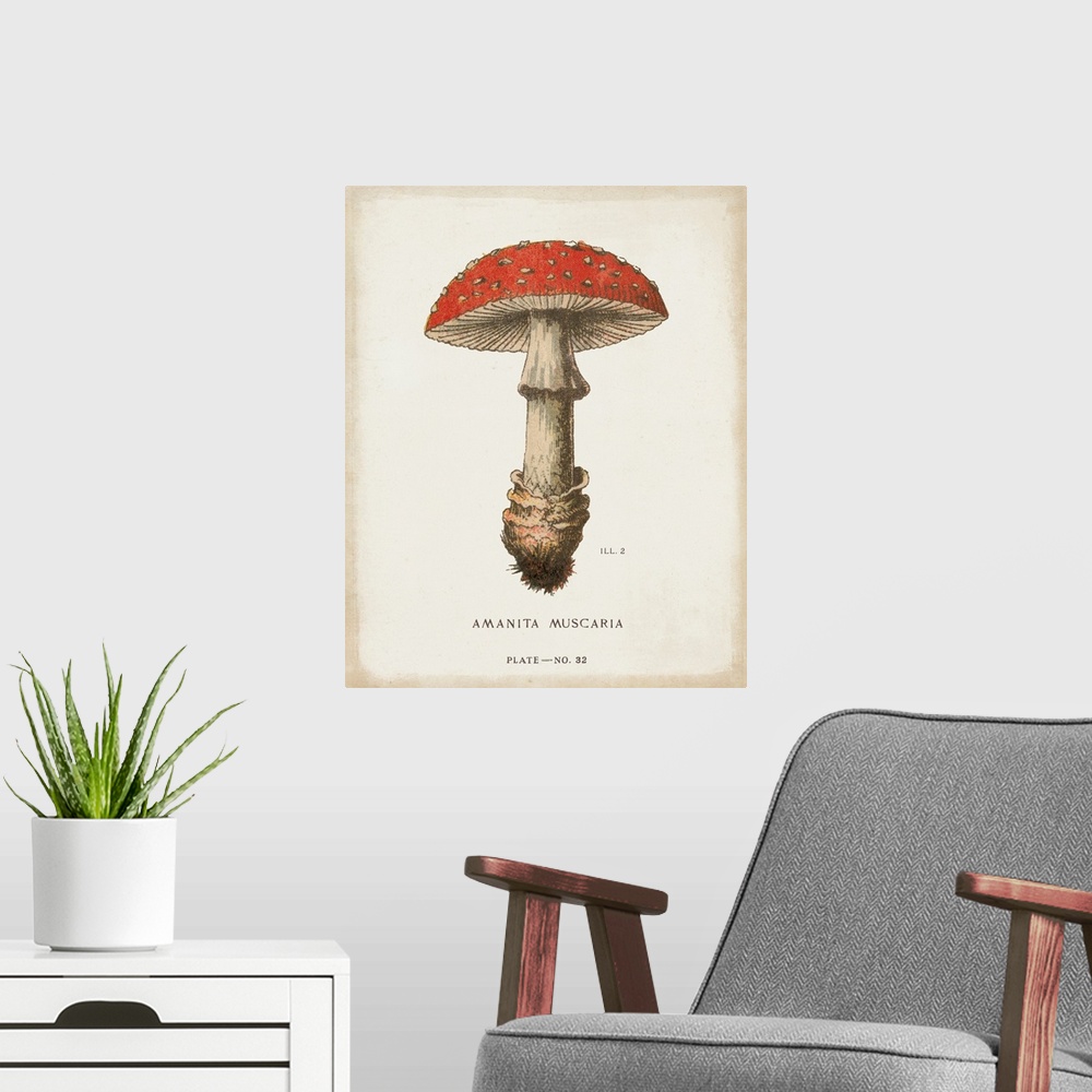 A modern room featuring Mushroom Study II