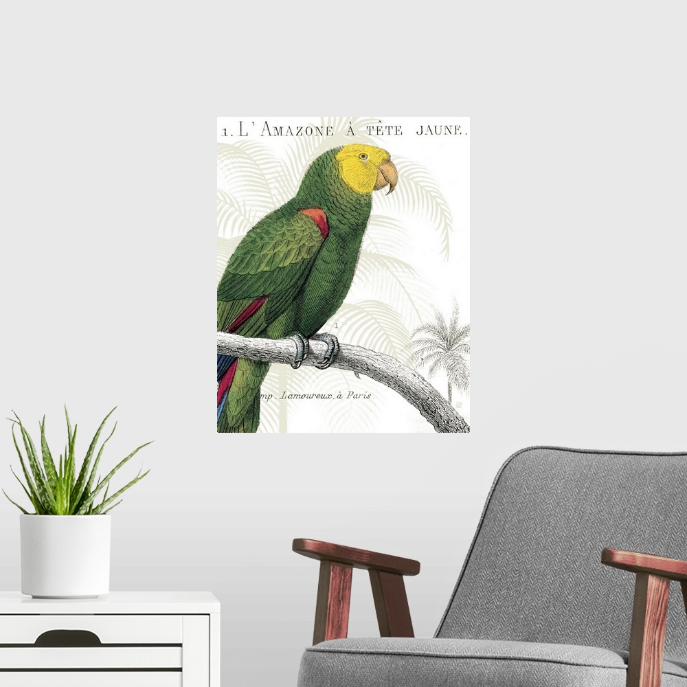 A modern room featuring Parrot Botanique I