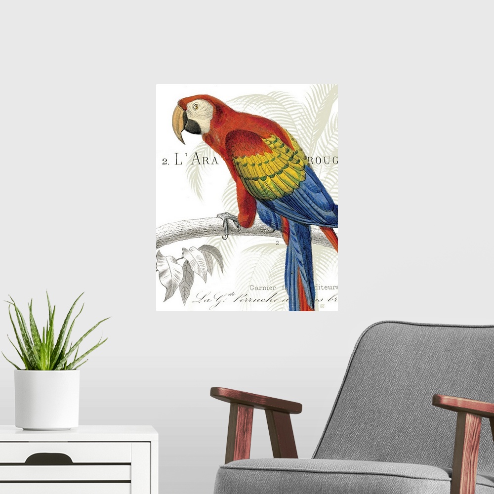 A modern room featuring Parrot Botanique II