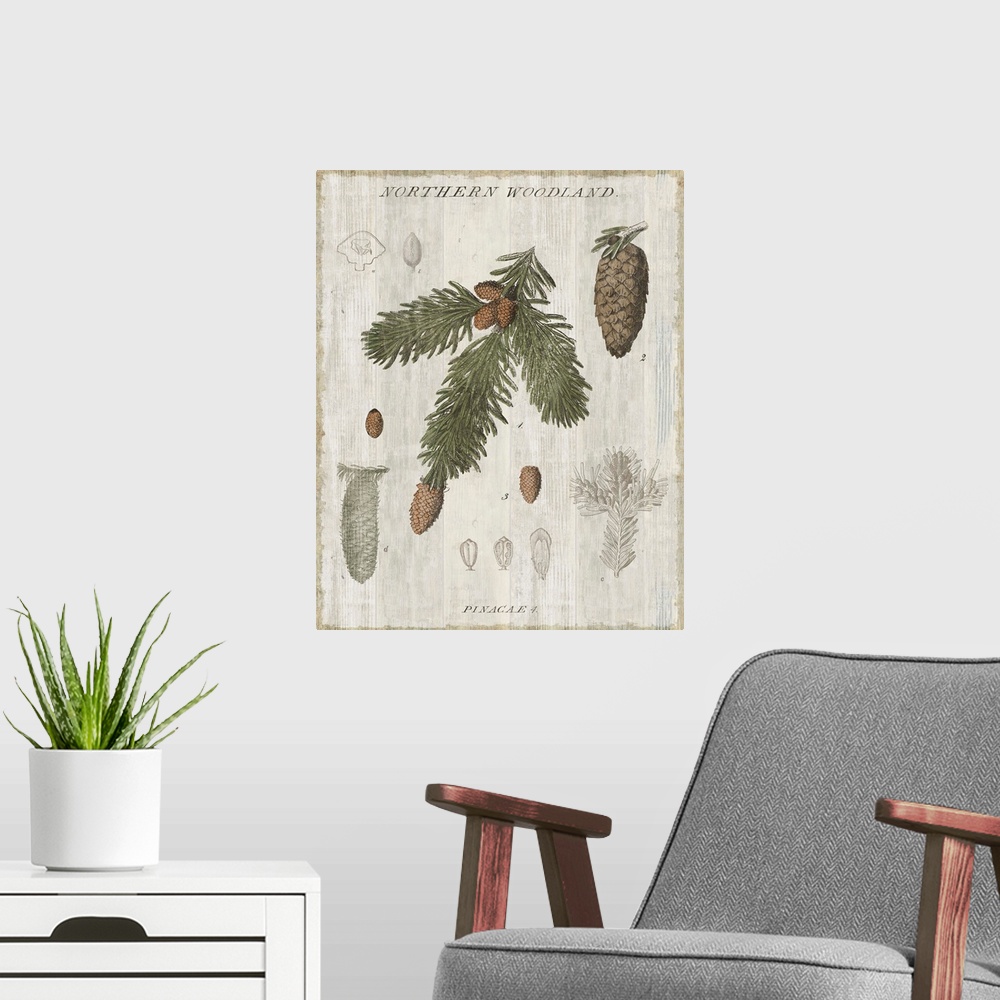 A modern room featuring Home decor artwork of a vintage rustic looking chart of trees.