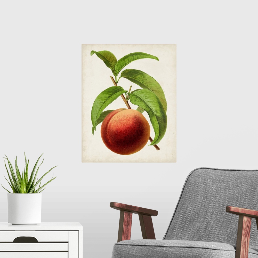 A modern room featuring Antique Fruit V