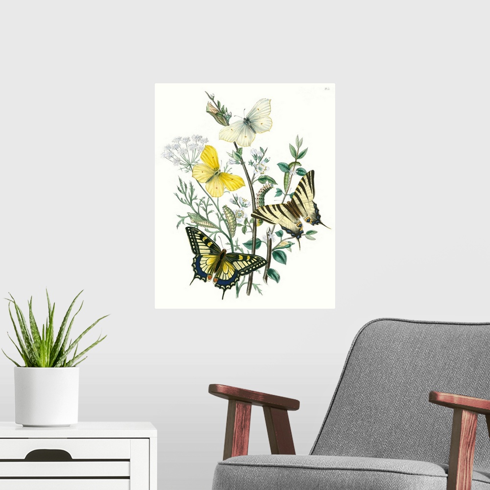 A modern room featuring This contemporary illustration created in a vintage style features fluttering butterflies and cat...