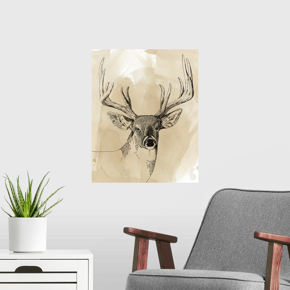 A modern room featuring Burnished Buck I